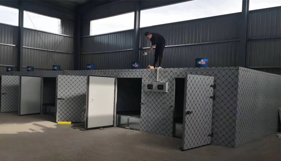 环保又高效！揭秘中药材烘干行业的致富秘诀！